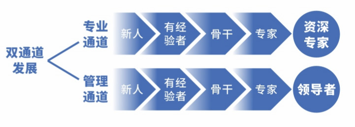人才培養(yǎng)計(jì)劃2.jpg